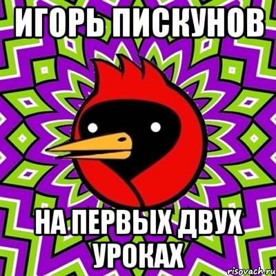 Игорь Пискунов На первых двух уроках, Мем Омская птица