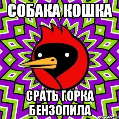 Собака кошка СРать горка бензопила, Мем Омская птица