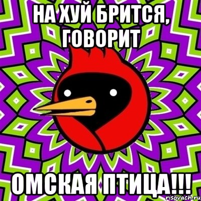 на хуй брится, говорит ОМСКАЯ ПТИЦА!!!, Мем Омская птица