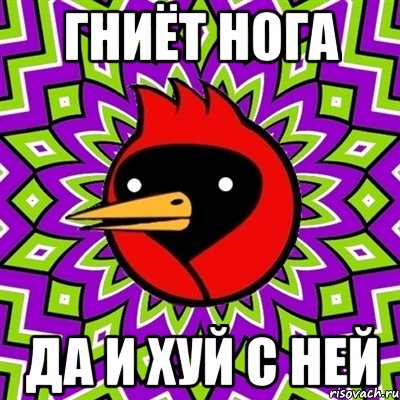 гниёт нога да и хуй с ней, Мем Омская птица