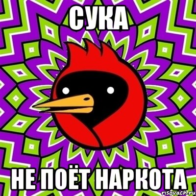 сука не поёт наркота, Мем Омская птица