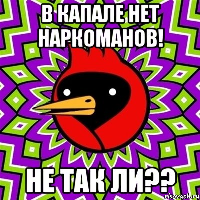 в Капале нет наркоманов! не так ли??, Мем Омская птица