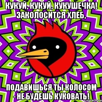 Кукуй, кукуй, кукушечка! Заколосится хлеб, Подавишься ты колосом - Не будешь куковать!, Мем Омская птица