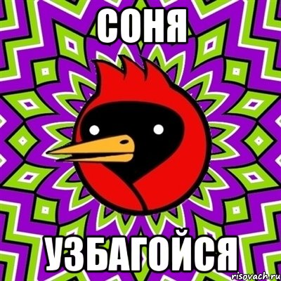 соня узбагойся, Мем Омская птица
