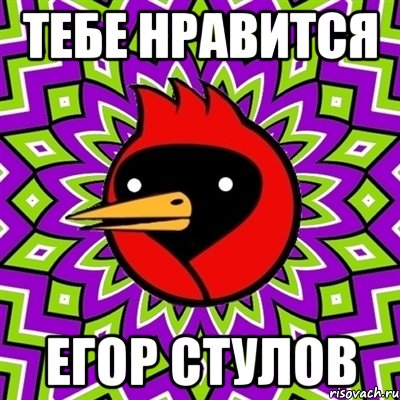 тебе нравится Егор стулов, Мем Омская птица