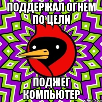 Поддержал огнем по цели Поджег компьютер, Мем Омская птица