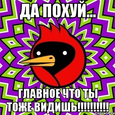 Да похуй... главное что ты тоже видишь!!!!!!!!!!, Мем Омская птица