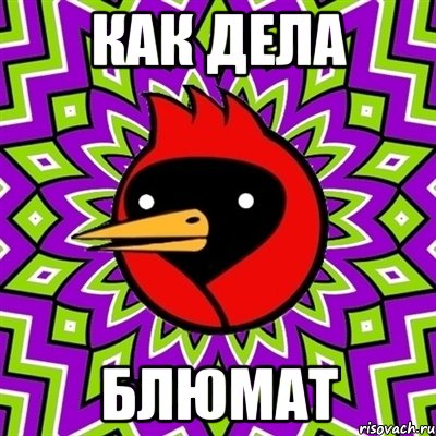 как дела блюмат, Мем Омская птица