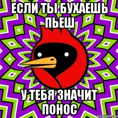 если ты бухаешь пьеш у тебя значит понос, Мем Омская птица