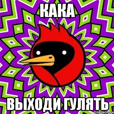 кака выходи гулять, Мем Омская птица