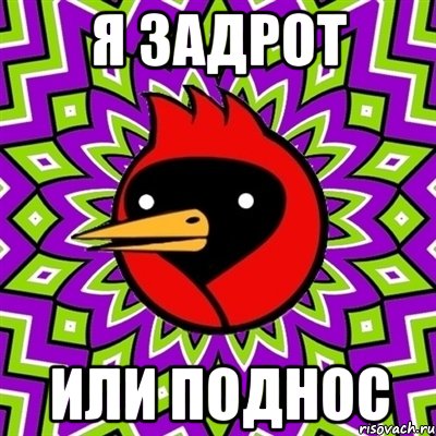 Я ЗАДРОТ ИЛИ ПОДНОС, Мем Омская птица