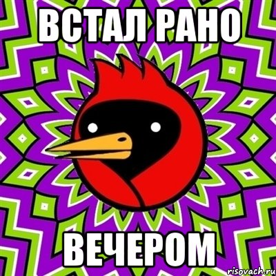встал рано вечером, Мем Омская птица