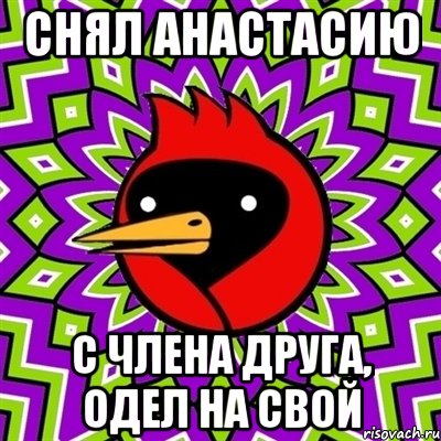 снял Анастасию с члена друга, одел на свой, Мем Омская птица
