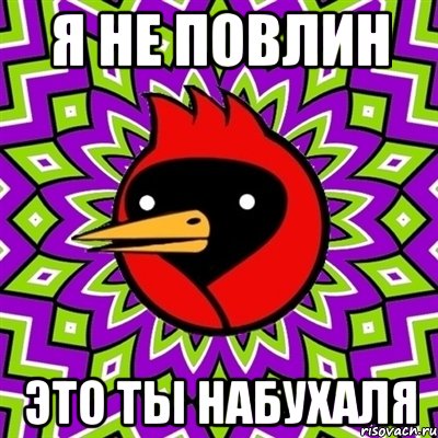 я не повлин это ты набухаля, Мем Омская птица