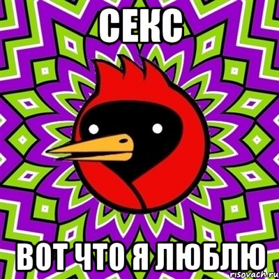 Секс Вот что я люблю, Мем Омская птица