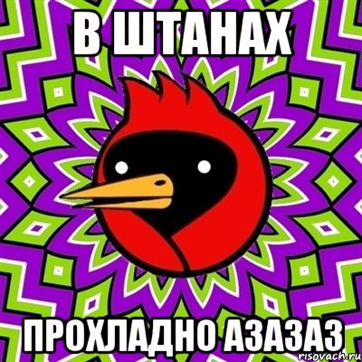 в штанах прохладно азазаз, Мем Омская птица