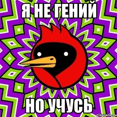я не гений но учусь, Мем Омская птица