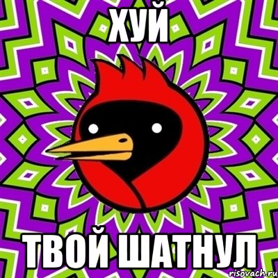 хуй твой шатнул, Мем Омская птица
