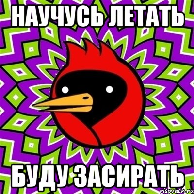 научусь летать буду засирать, Мем Омская птица