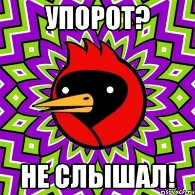 упорот? не слышал!, Мем Омская птица
