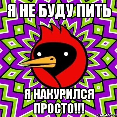 Я не буду пить Я накурился просто!!!, Мем Омская птица