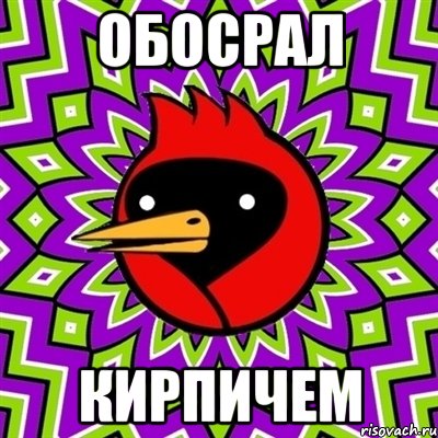 Обосрал Кирпичем, Мем Омская птица