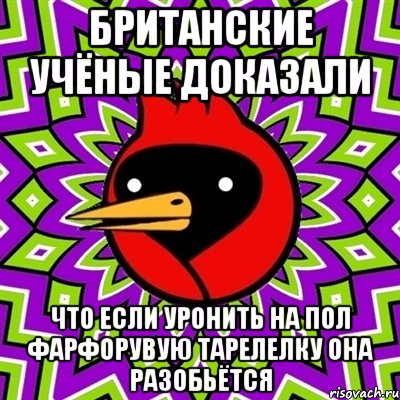 БРИТАНСКИЕ УЧЁНЫЕ ДОКАЗАЛИ ЧТО ЕСЛИ УРОНИТЬ НА ПОЛ ФАРФОРУВУЮ ТАРЕЛЕЛКУ ОНА РАЗОБЬЁТСЯ, Мем Омская птица