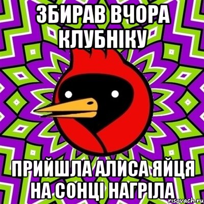Збирав вчора клубніку Прийшла Алиса Яйця на сонці нагріла, Мем Омская птица