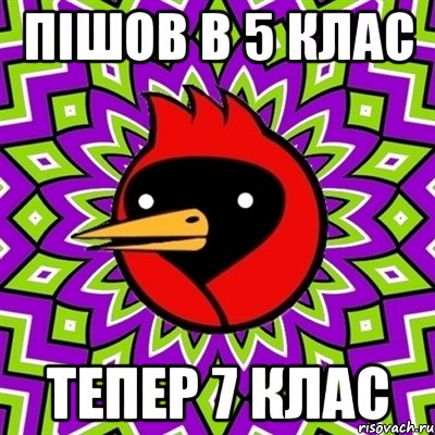 ПІШОВ В 5 КЛАС ТЕПЕР 7 КЛАС, Мем Омская птица