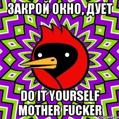 закрой окно, дует do it yourself mother fucker, Мем Омская птица