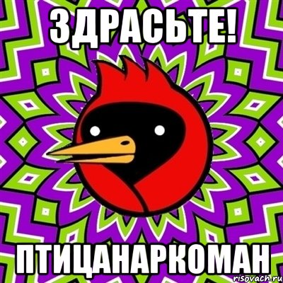ЗДРАСЬТЕ! ПТИЦАНАРКОМАН, Мем Омская птица