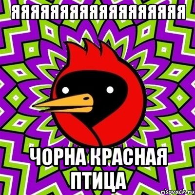 яяяяяяяяяяяяяяяяяя чорна красная птица, Мем Омская птица