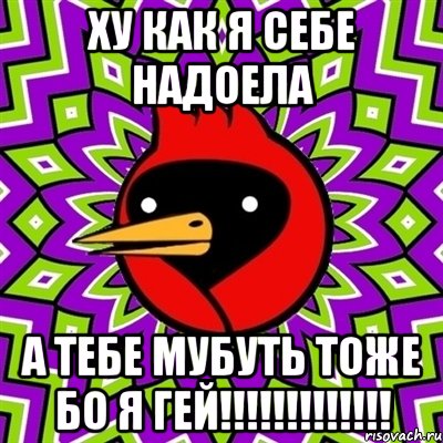Ху как я себе надоела а тебе мубуть тоже бо я гей!!!!!!!!!!!!!, Мем Омская птица