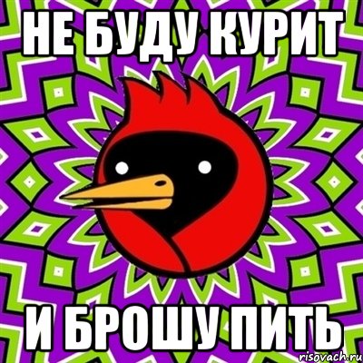 не буду курит и брошу пить, Мем Омская птица