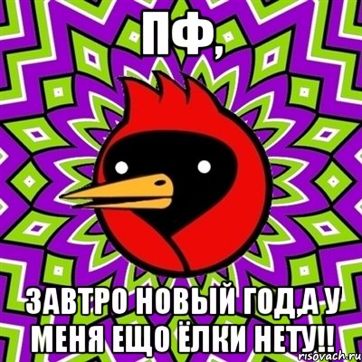 Пф, завтро Новый Год,а у меня ещо ёлки нету!!, Мем Омская птица