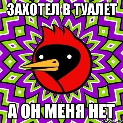 захотел в туалет а он меня нет, Мем Омская птица