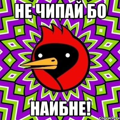 не чипай бо наибне!, Мем Омская птица