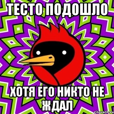 тесто подошло ХОТЯ ЕГО НИКТО НЕ ЖДАЛ, Мем Омская птица