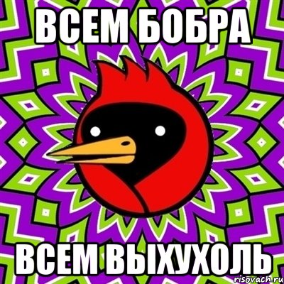 ВСЕМ БОБРА ВСЕМ ВЫХУХОЛЬ, Мем Омская птица