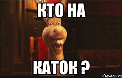 Кто на каток ?