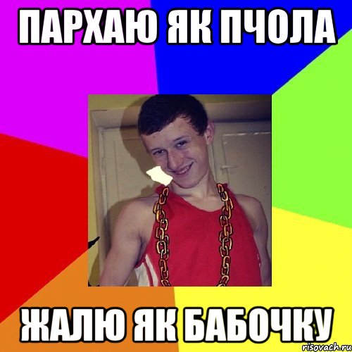 Пархаю як пчола жалю як бабочку, Мем па