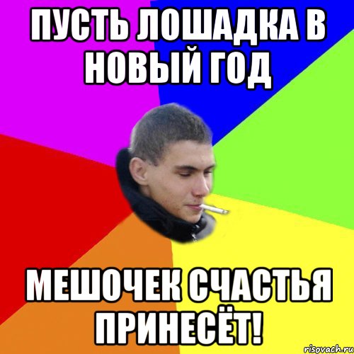Пусть лошадка в новый год мешочек счастья принесёт!