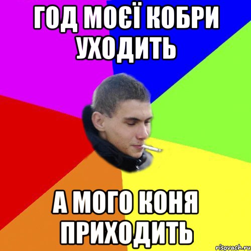 Год моєї кобри уходить а мого коня приходить
