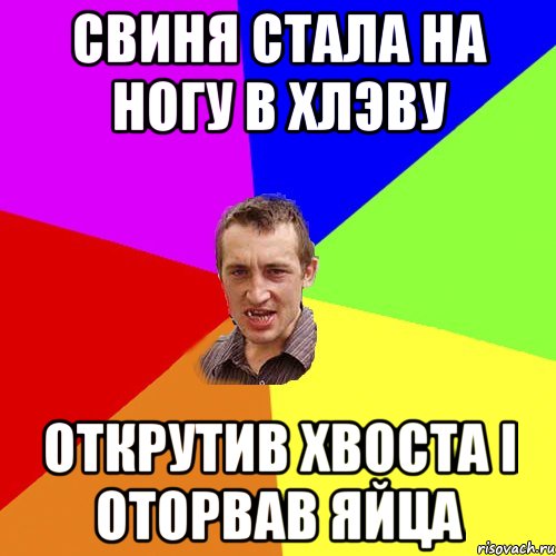 свиня стала на ногу в хлэву открутив хвоста і оторвав яйца, Мем Чоткий паца