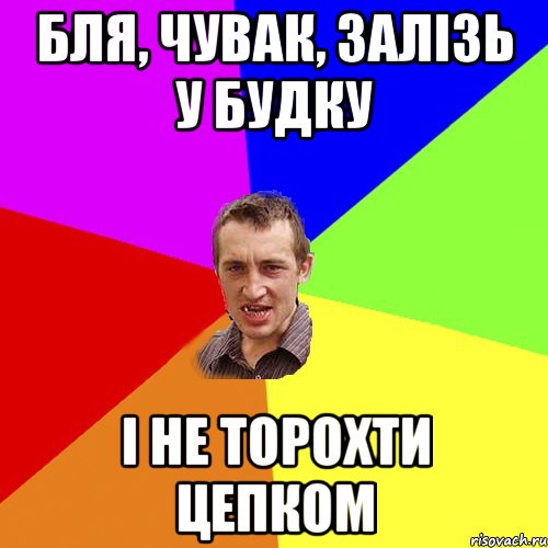 бля, чувак, залізь у будку і не торохти цепком, Мем Чоткий паца