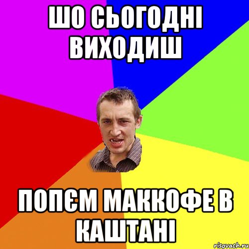 шо сьогодні виходиш попєм маккофе в каштані, Мем Чоткий паца