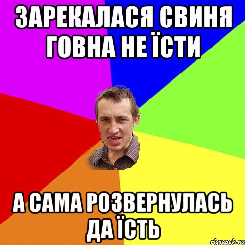 ЗАРЕКАЛАСЯ СВИНЯ ГОВНА НЕ ЇСТИ А САМА РОЗВЕРНУЛАСЬ ДА ЇСТЬ, Мем Чоткий паца