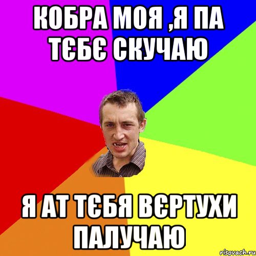 Кобра моя ,я па тєбє скучаю я ат тєбя вєртухи палучаю, Мем Чоткий паца