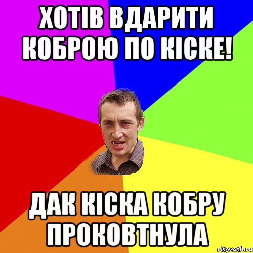 Хотів вдарити коброю по кіске! дак кіска кобру проковтнула, Мем Чоткий паца