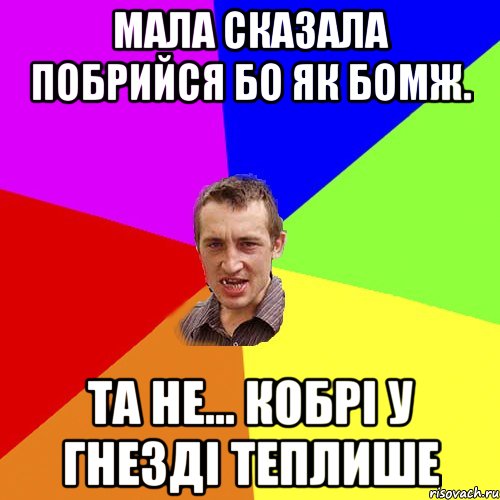 Мала сказала побрийся бо як бомж. Та не... кобрi у гнездi теплише, Мем Чоткий паца